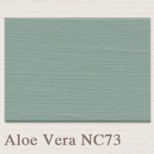 Painting the Aloe Vera