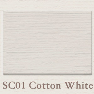 Painting the Past Cotton White